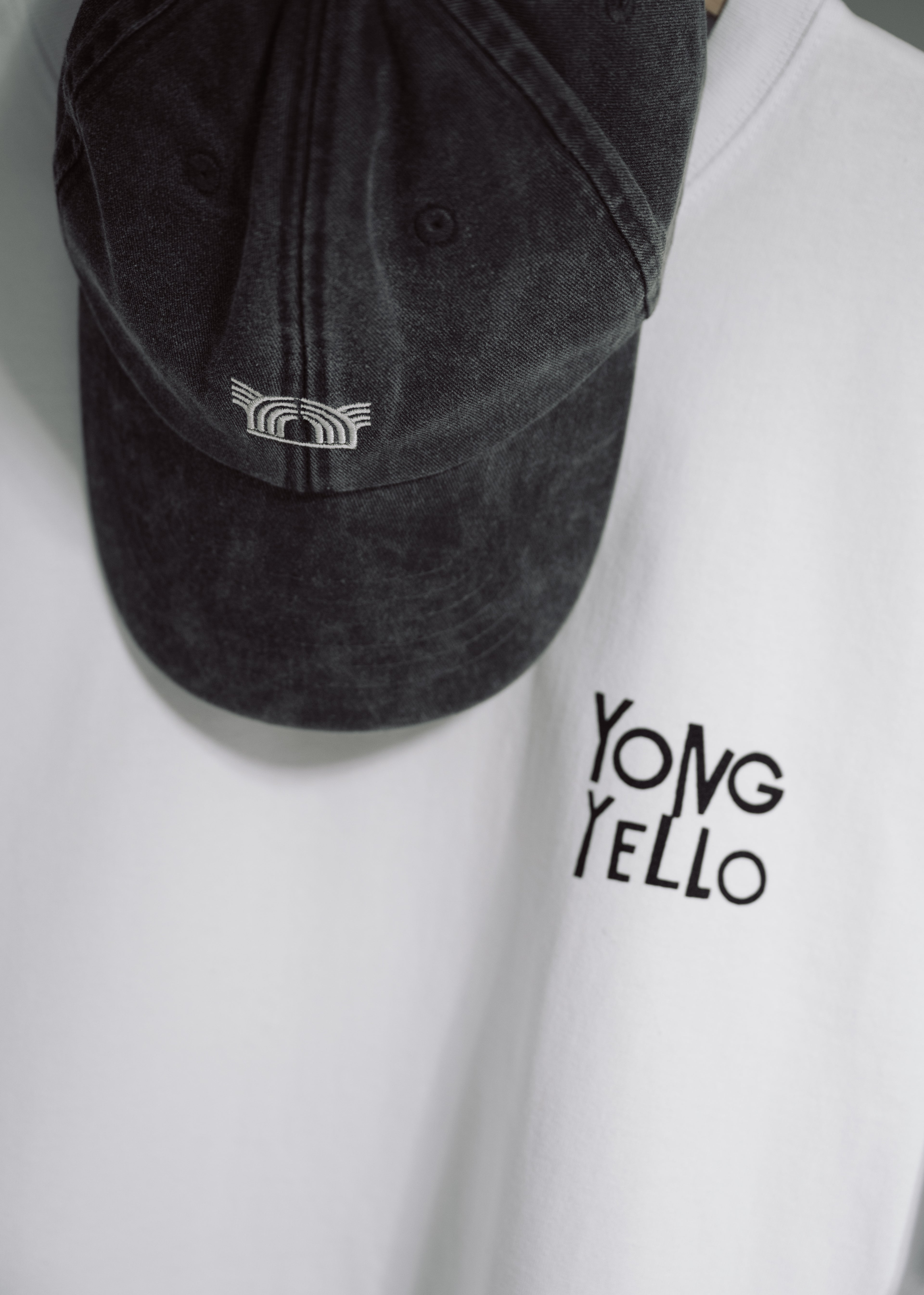 Pet YY Logo